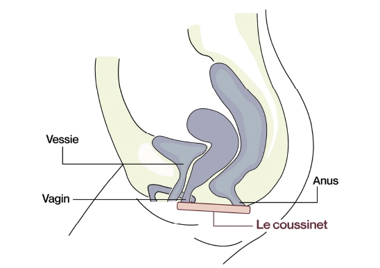 culotte fuites urinaires
