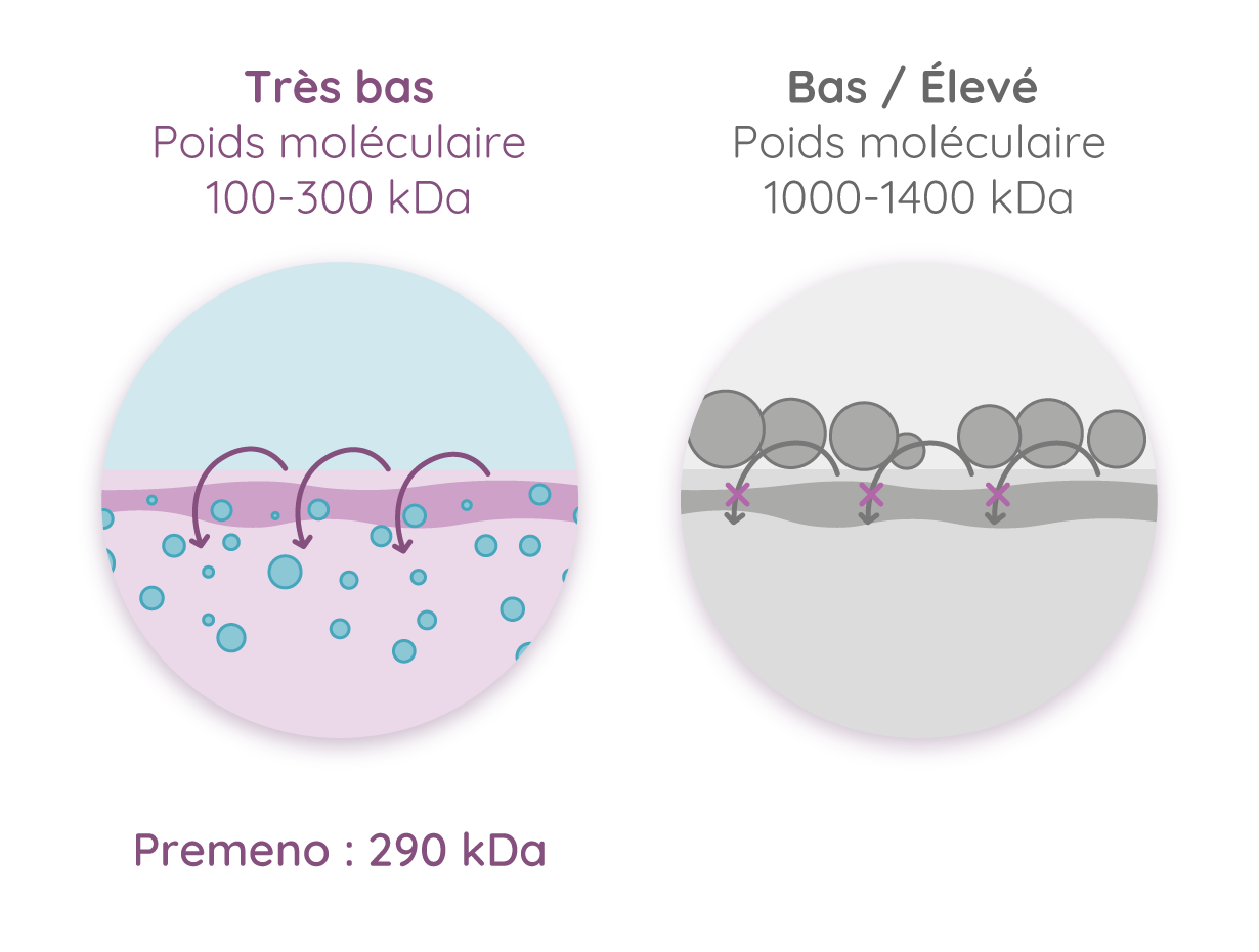 schéma poids acide hyaluronique ovules Premeno